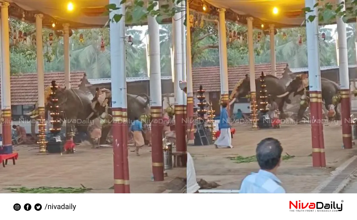 Kozhikode Temple Festival