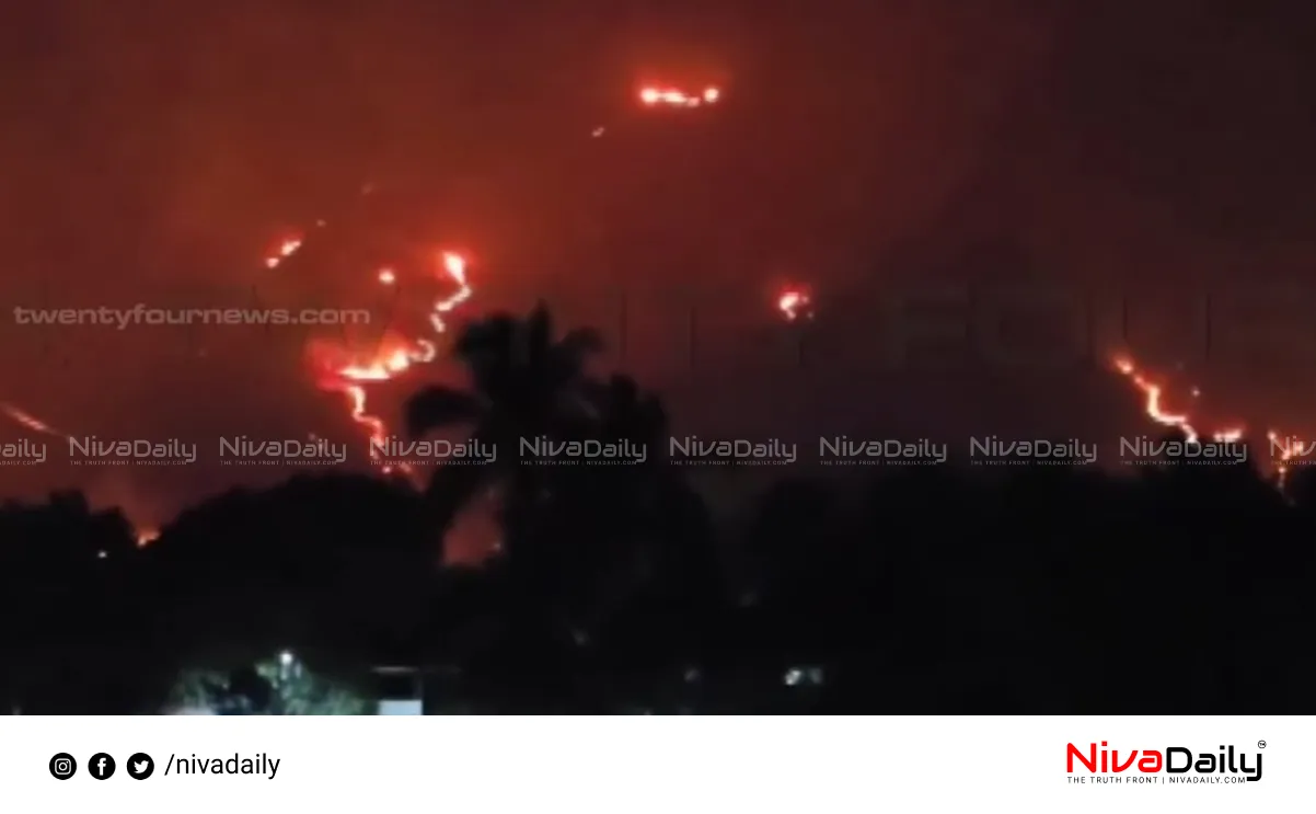 Palakkad wildfire