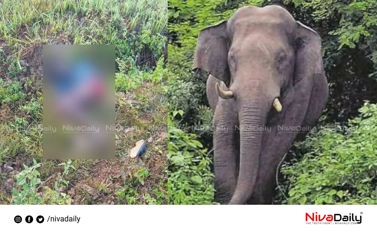 Wayanad Elephant Attack