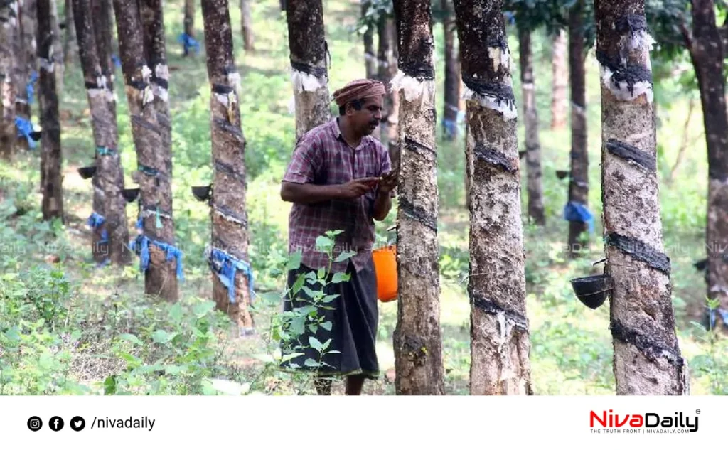 Rubber Farmers Protest