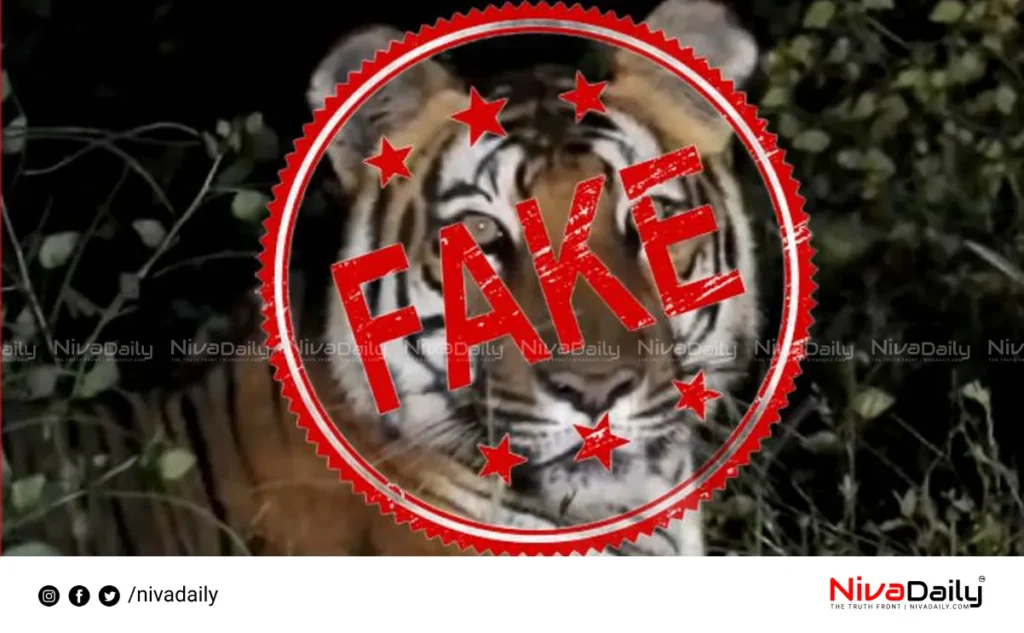 fake tiger video