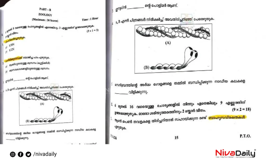 Higher Secondary Exam