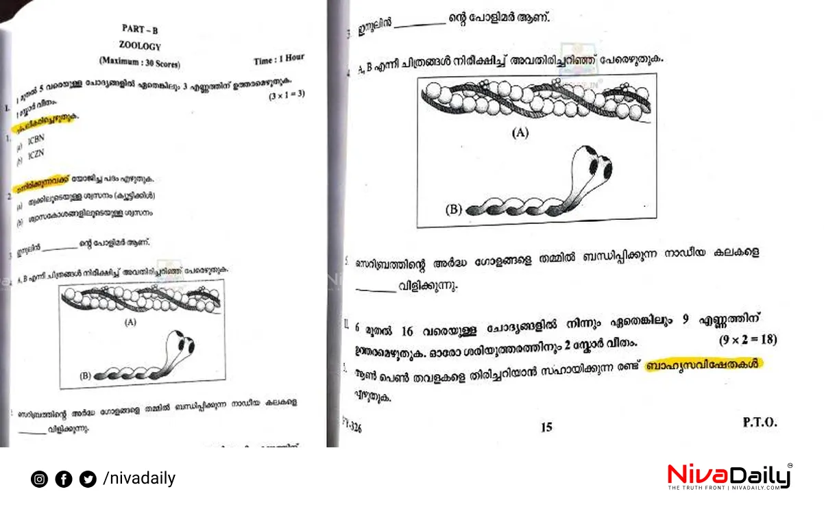 Higher Secondary Exam