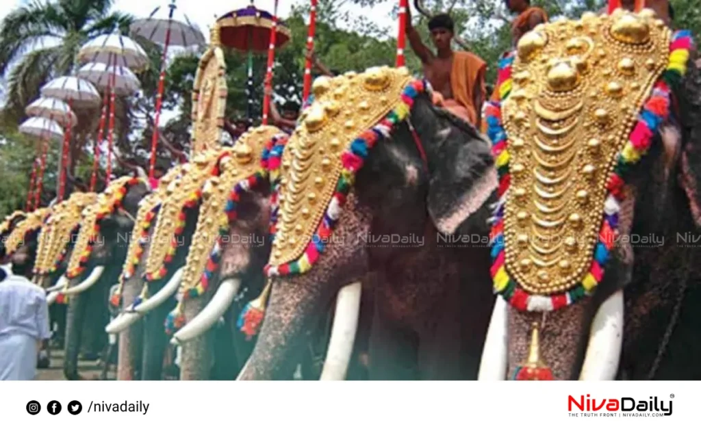 Elephant Procession