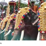 Elephant Procession