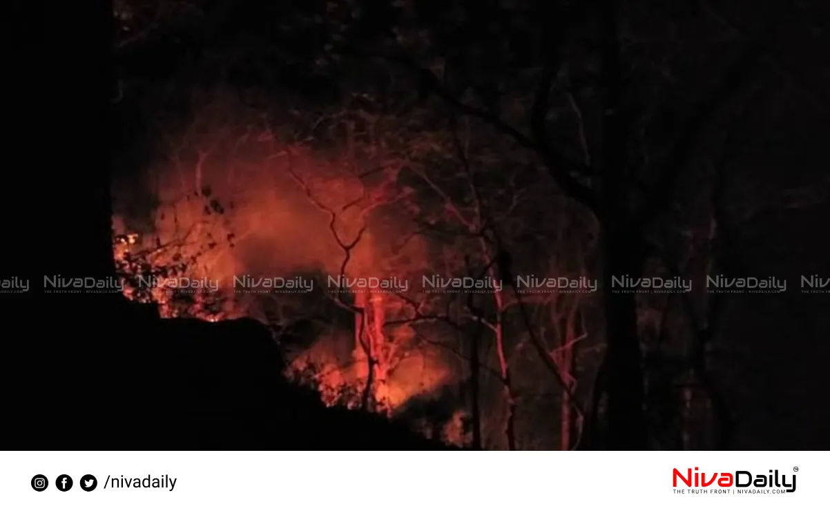 Kattappana Wildfire