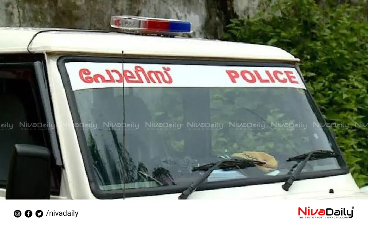 Ottapalam stabbing