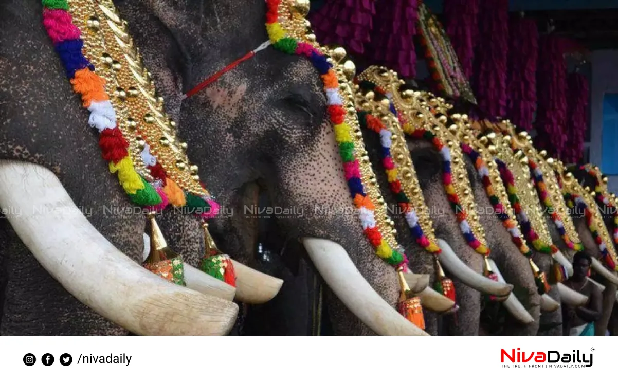 Temple Elephant Processions