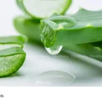 aloe vera cancer remedy