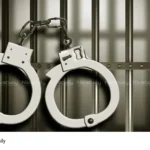 cannabis seizure
