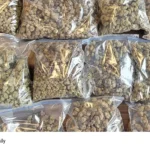 cannabis seizure