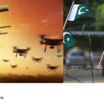 anti-drone system