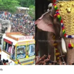 Thrissur Pooram
