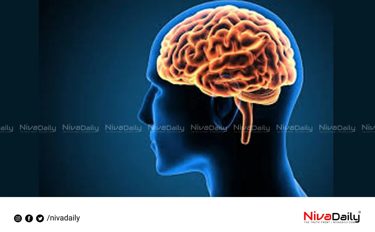 brain health