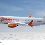 Air India passenger