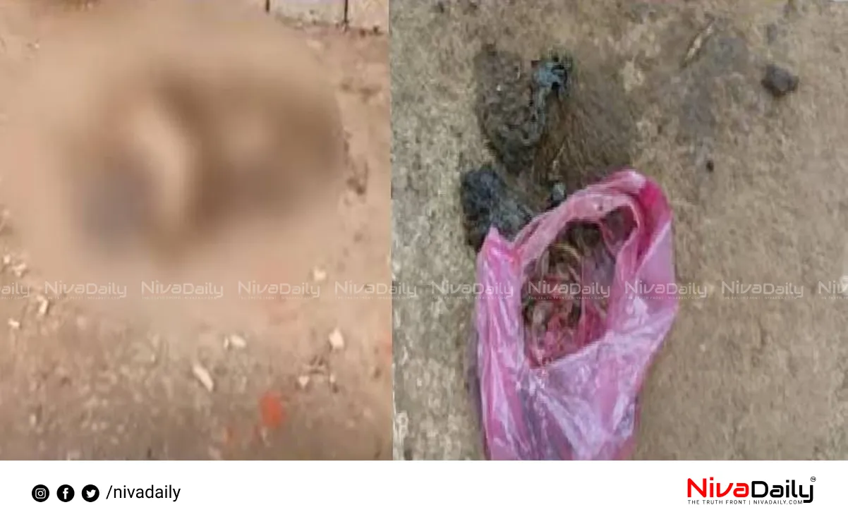 animal cruelty wayanad