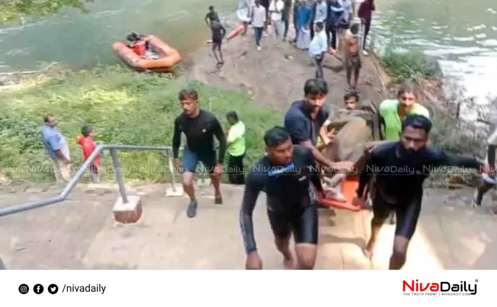 meenachil river incident