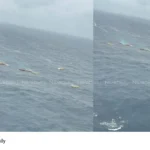 Arabian Sea cargo fall
