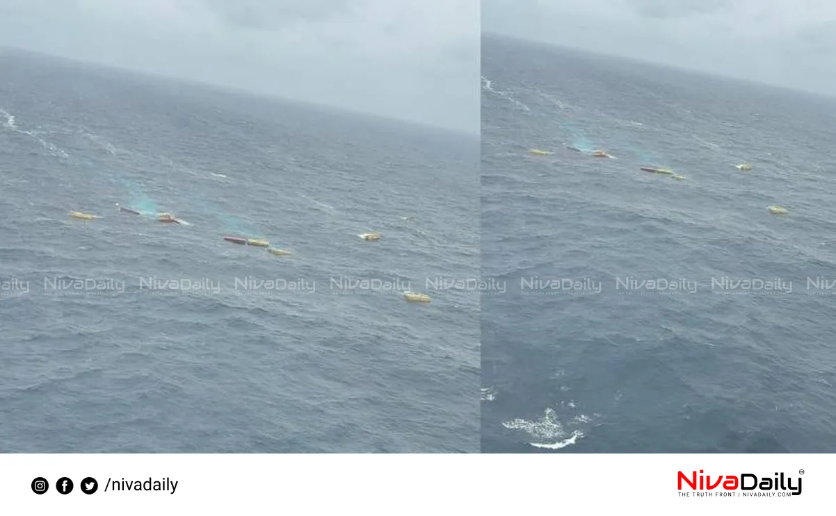 Arabian Sea cargo fall