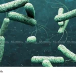 Cholera outbreak