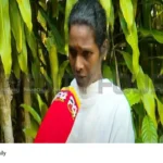 police harassment case