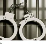 Aluva murder case