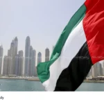 fake certificate UAE
