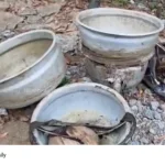 illicit liquor seizure
