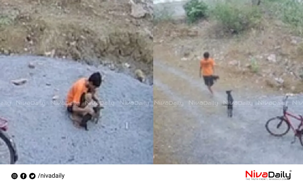 puppies killing case