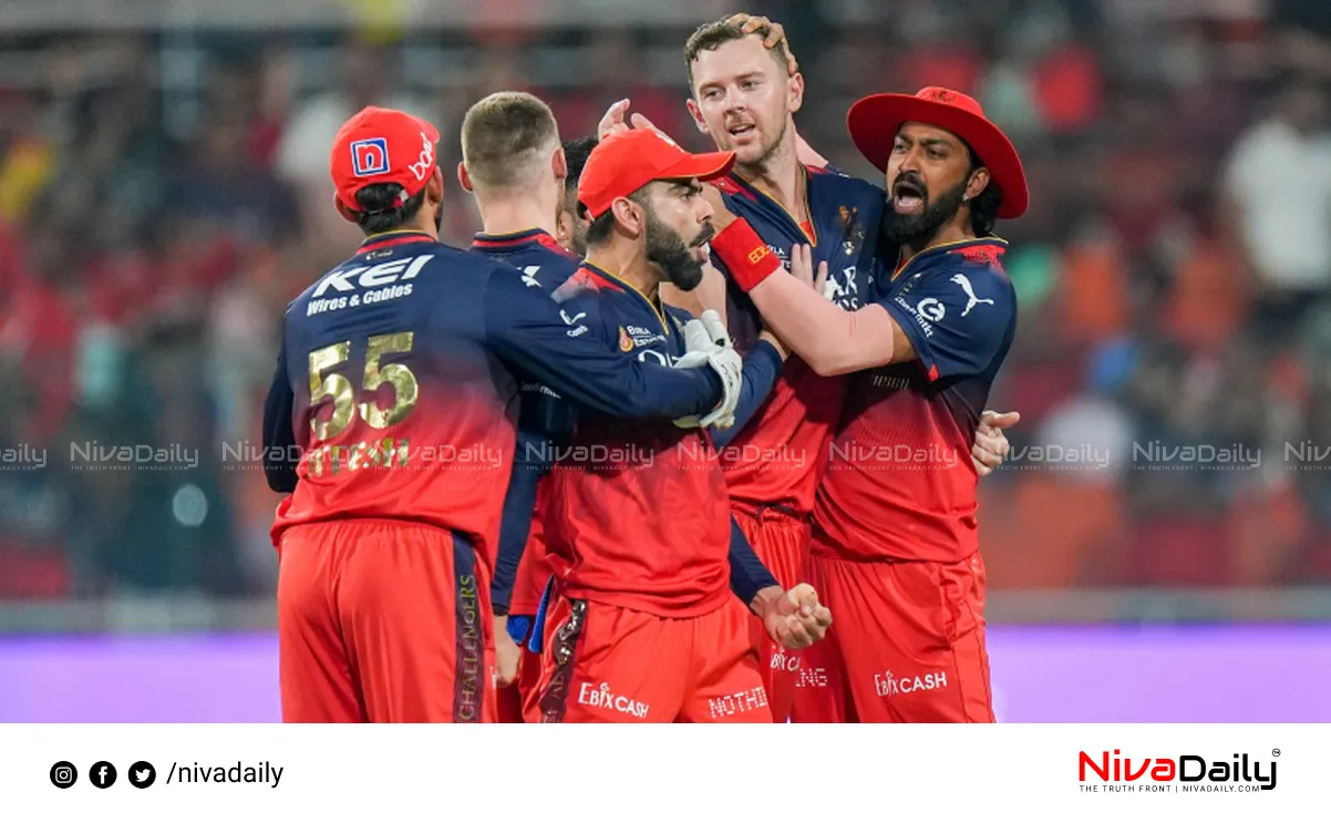 IPL Playoff victory