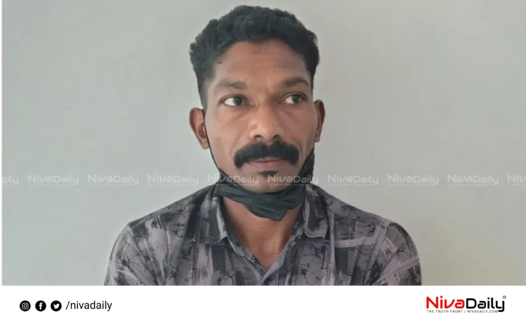 POCSO case verdict