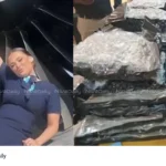 drug bust colombo