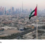 UAE Indian population