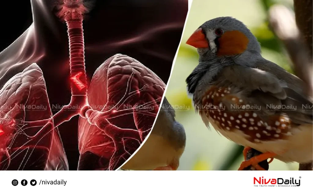 bird lung defenses