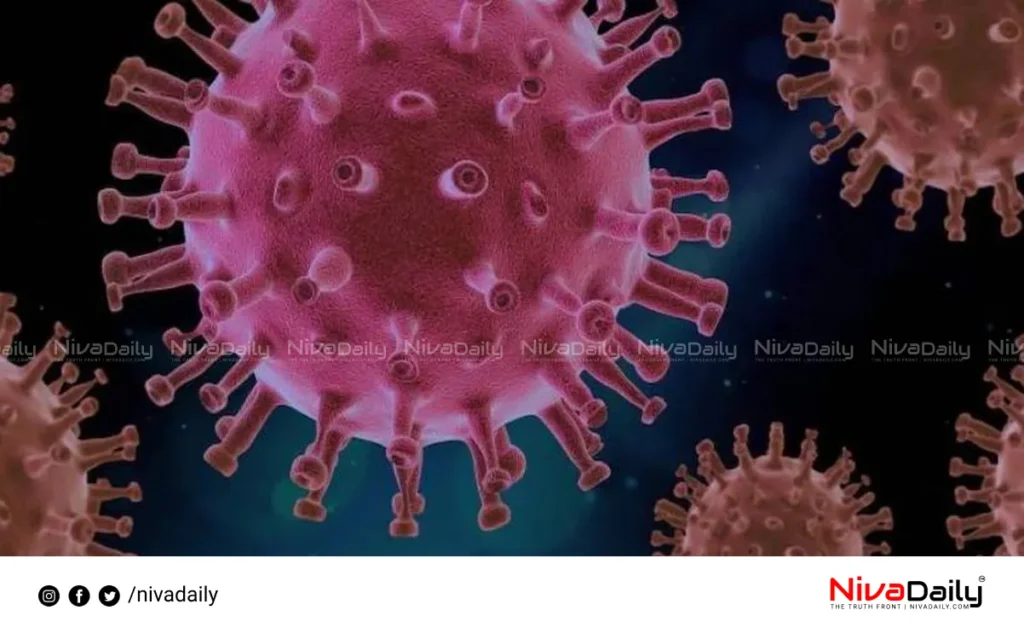 Nipah virus outbreak