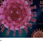 Nipah virus outbreak