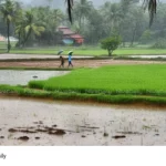Kerala monsoon rainfall