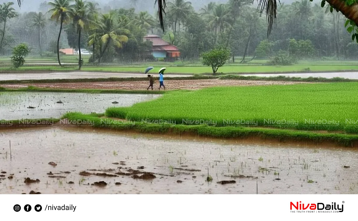 Kerala monsoon rainfall