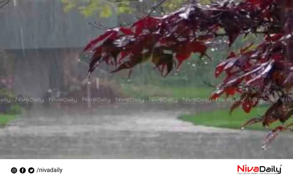 Kerala monsoon rainfall