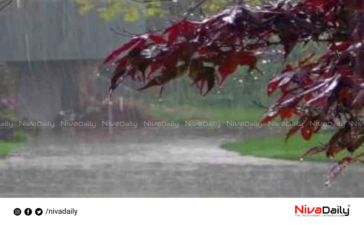 Kerala monsoon rainfall