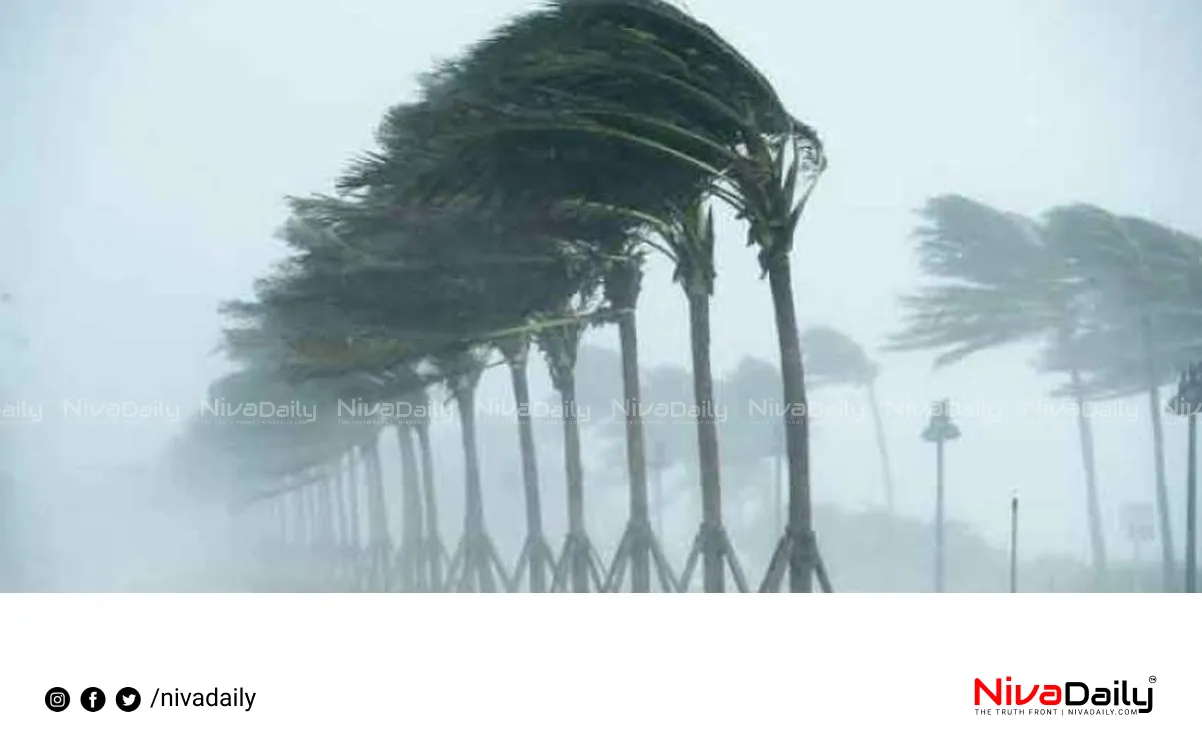 dangerous trees removal