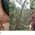 Kerala monsoon rainfall