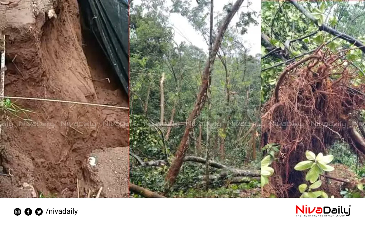 Kerala monsoon rainfall
