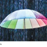 Kerala monsoon rainfall