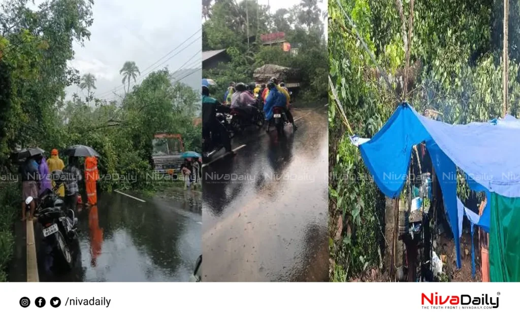Kerala monsoon rainfall