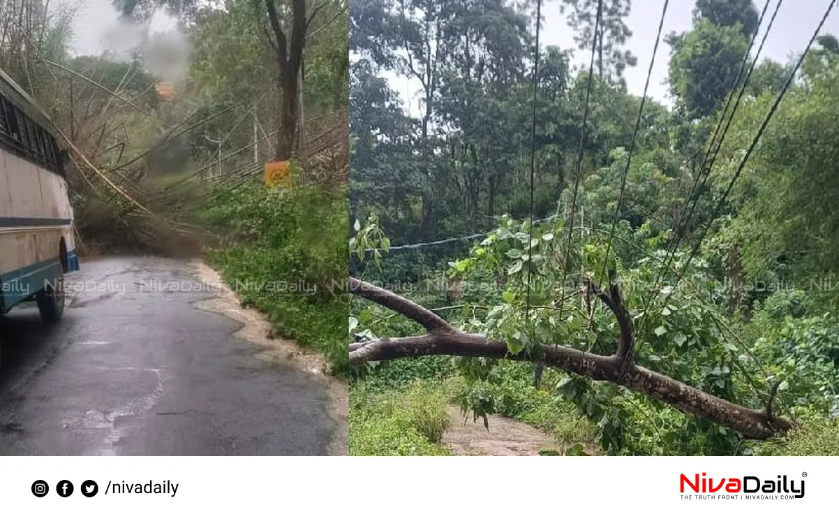 Kerala monsoon rainfall