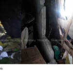 Elephant attack Malayattoor