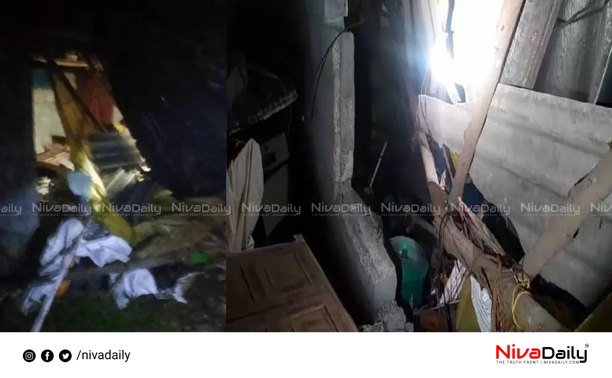 Elephant attack Malayattoor
