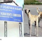 rabies deaths kerala