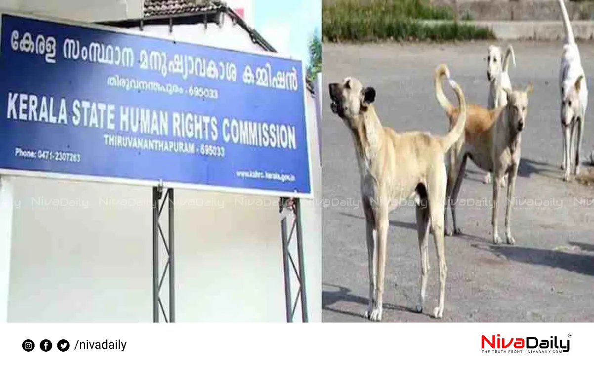 rabies deaths kerala
